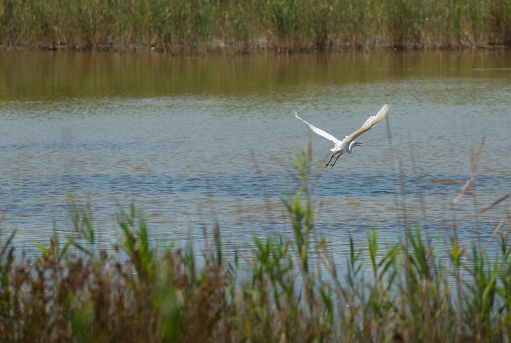 Valgrande Bibione Casone Βίλα Εξωτερικό φωτογραφία