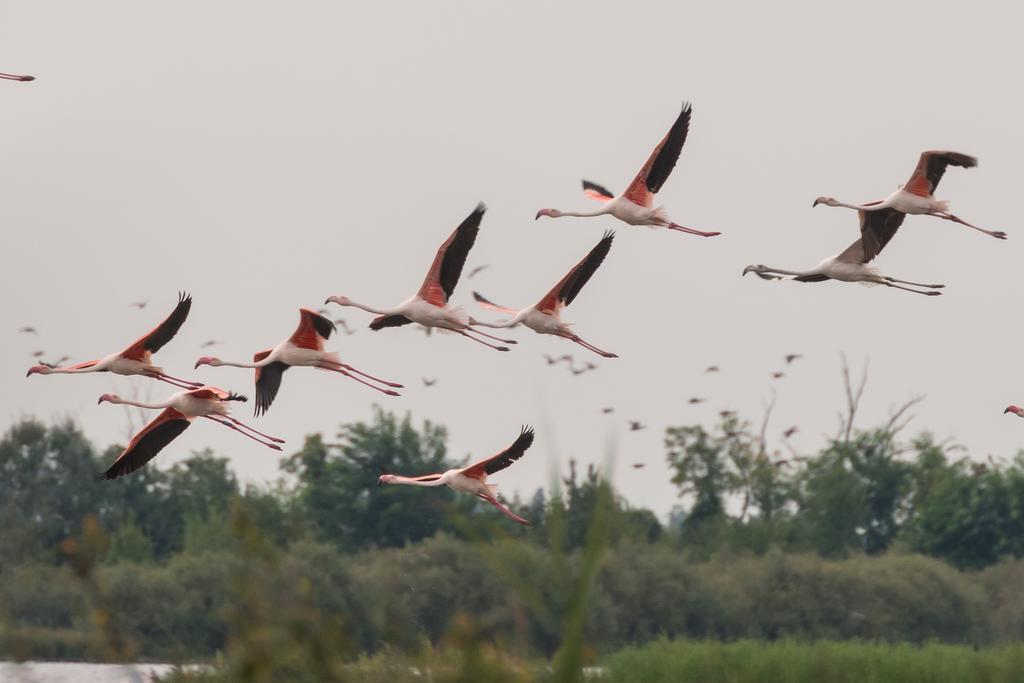 Valgrande Bibione Casone Βίλα Εξωτερικό φωτογραφία